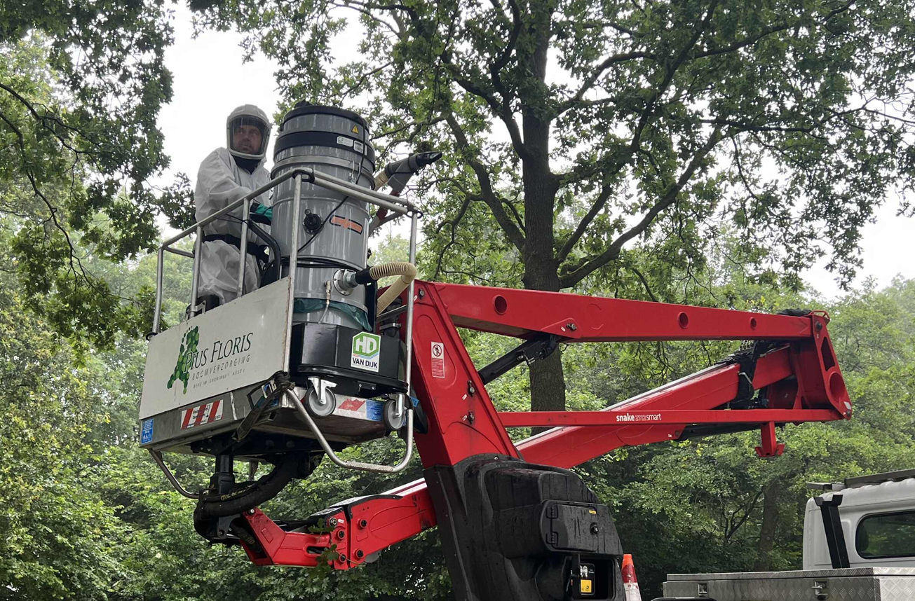 processierups stofzuiger BM 375 in actie met lange slang
