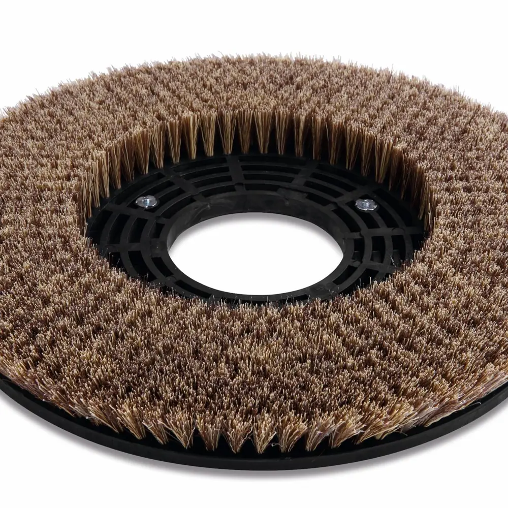 Ronde cocos borstel voor Floorpul C43 eenschijfsmachine op witte achtergrond