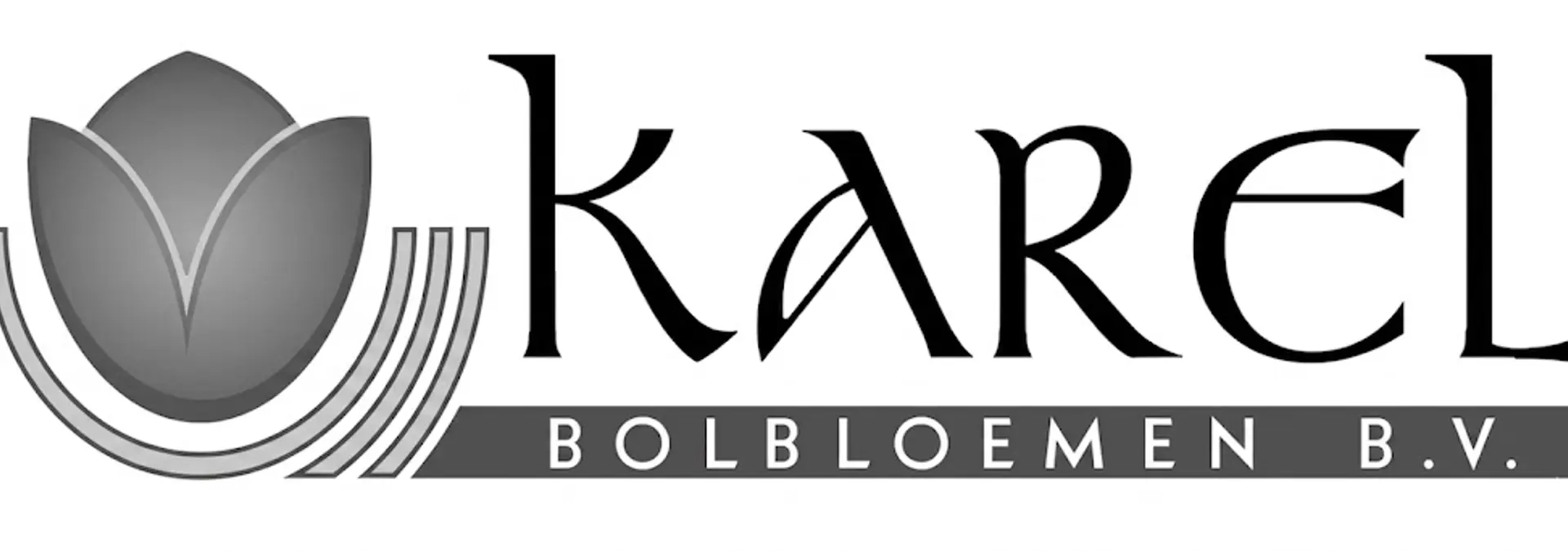  Karel Bolbloemen