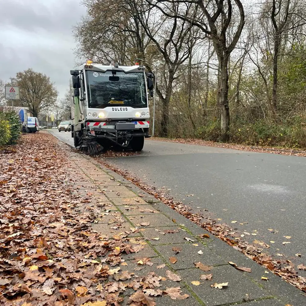 Dulevo D6 veegt herfstbladeren langs een bosweg in Nederland