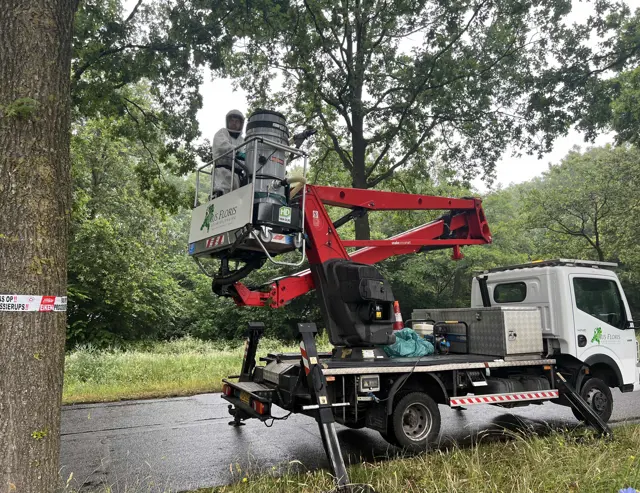 Processierups Stofzuiger Hd Coynco HD Coynco BM 375 op locatie