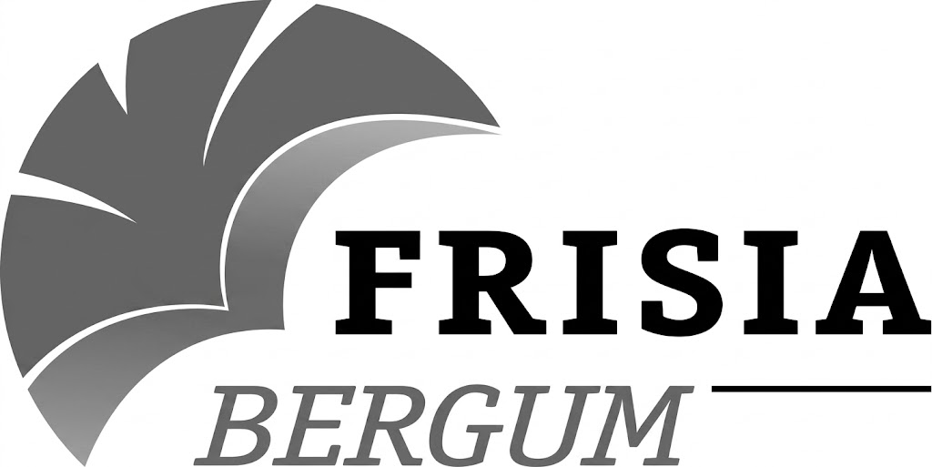 Frisia Burgum