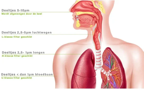 Fijnstof deeltjes uitleg